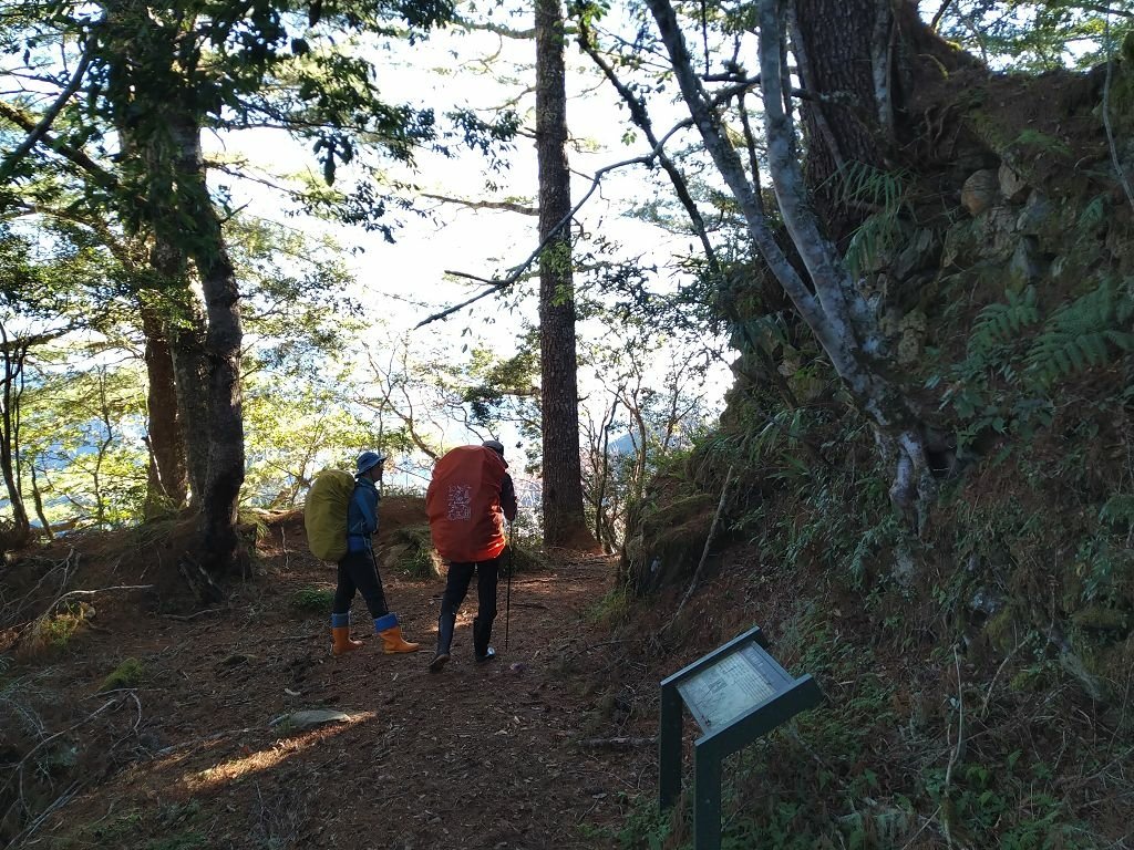 20231209~15 日八通關越嶺道全段d5~d7