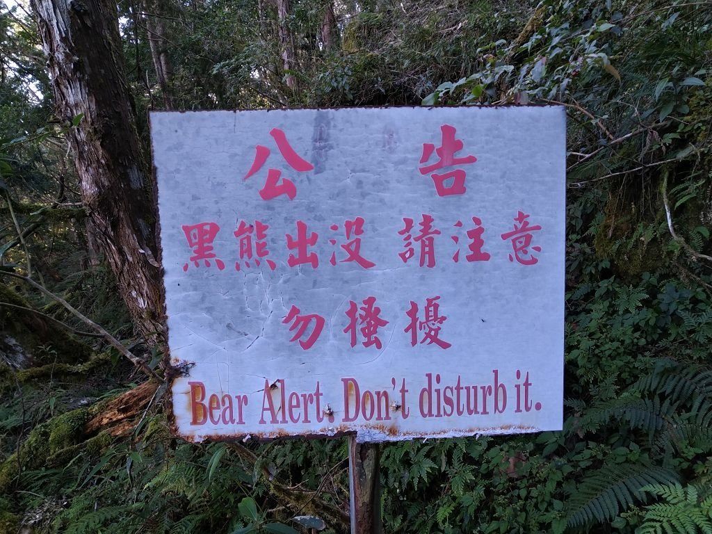 20231209~15 日八通關越嶺道全段d5~d7