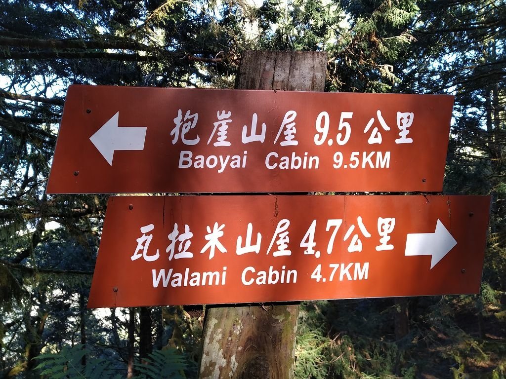 20231209~15 日八通關越嶺道全段d5~d7