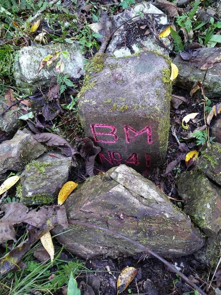 20231209~15 日八通關越嶺道全段d5~d7