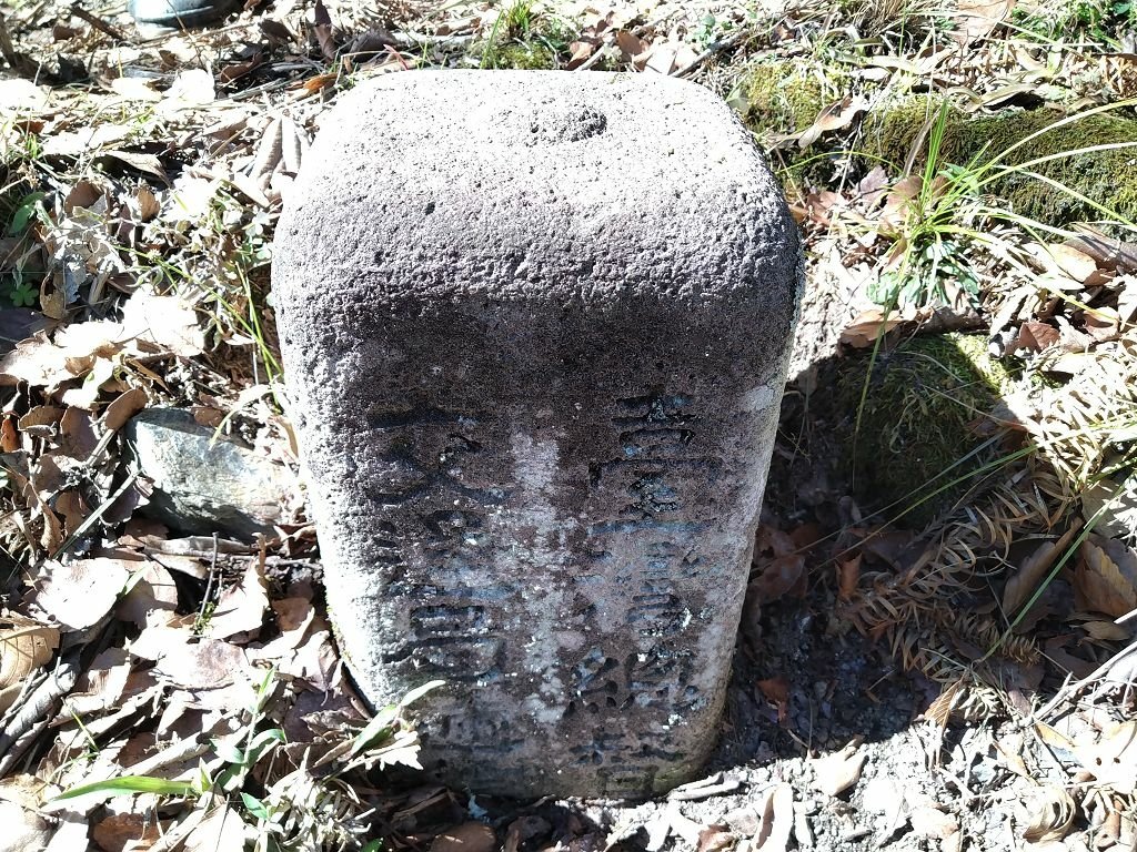 20231209~15 日八通關越嶺道全段d5~d7