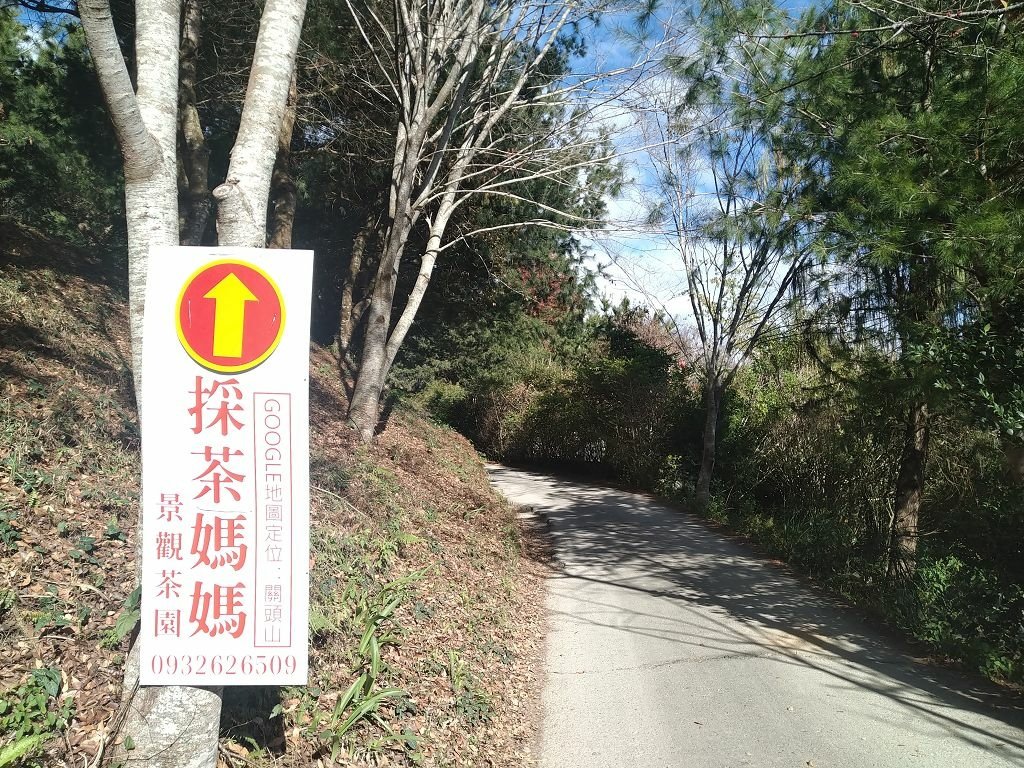 20240119 埔霧縱走之關頭山---舊武界越山,順登巴蘭