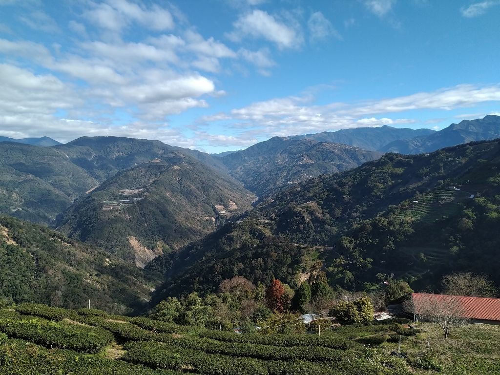 20240119 埔霧縱走之關頭山---舊武界越山,順登巴蘭