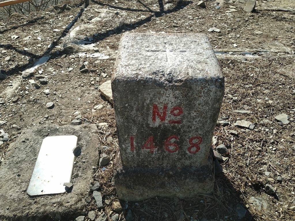 20240119 埔霧縱走之關頭山---舊武界越山,順登巴蘭