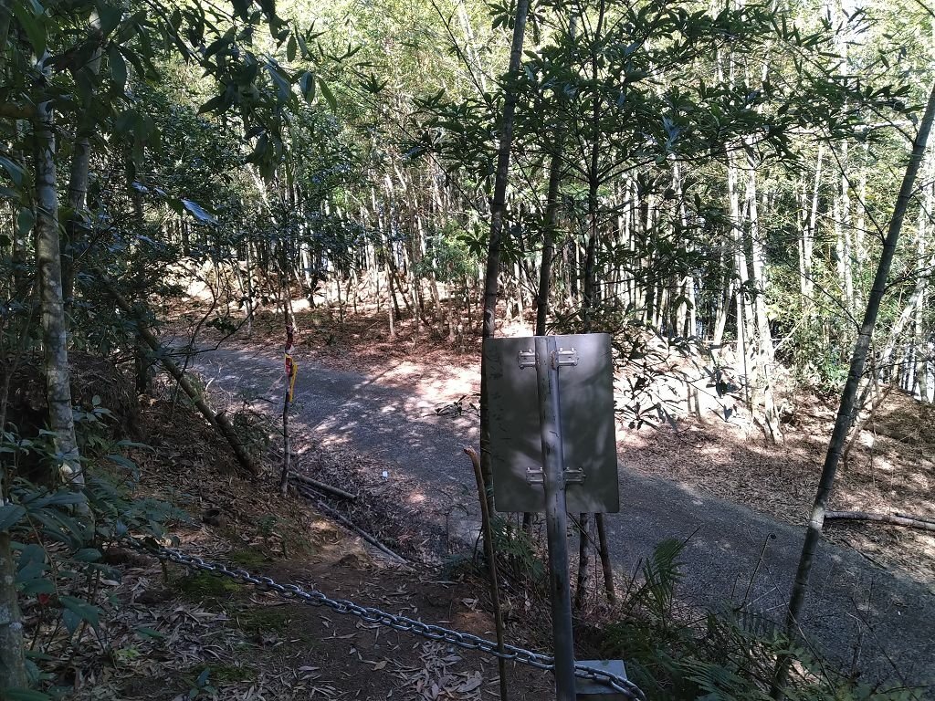 20240119 埔霧縱走之關頭山---舊武界越山,順登巴蘭