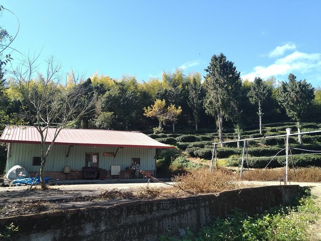 20240119 埔霧縱走之關頭山---舊武界越山,順登巴蘭
