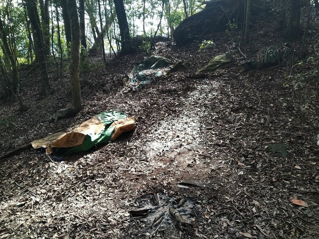 20240119 埔霧縱走之關頭山---舊武界越山,順登巴蘭