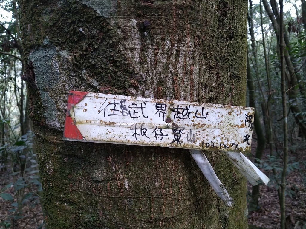 20240119 埔霧縱走之關頭山---舊武界越山,順登巴蘭