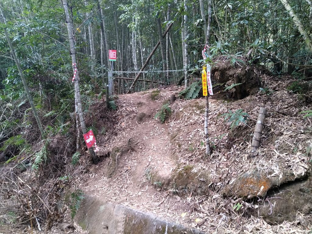 20240119 埔霧縱走之關頭山---舊武界越山,順登巴蘭
