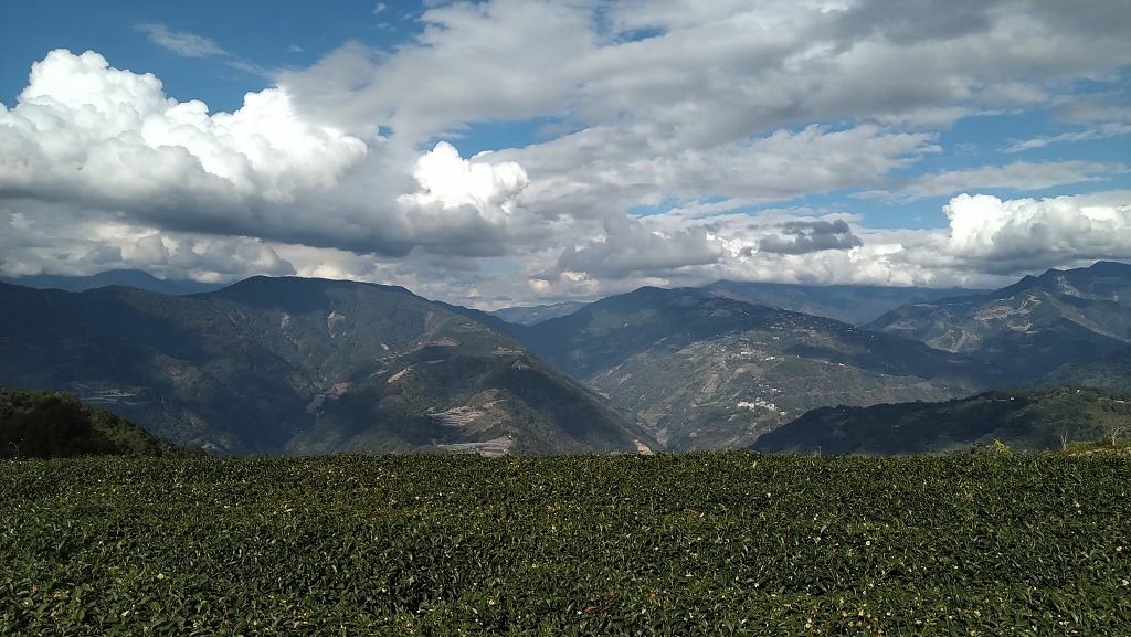 20240119 埔霧縱走之關頭山---舊武界越山,順登巴蘭