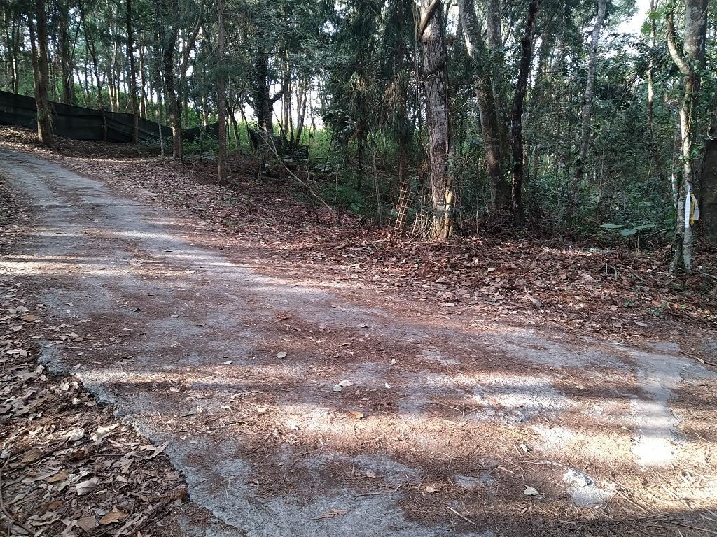 20240119 埔霧縱走之關頭山---舊武界越山,順登巴蘭