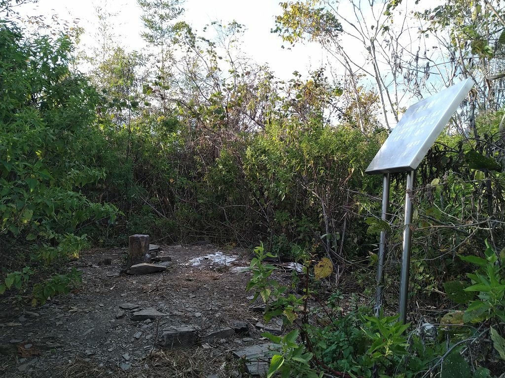 20240119 埔霧縱走之關頭山---舊武界越山,順登巴蘭