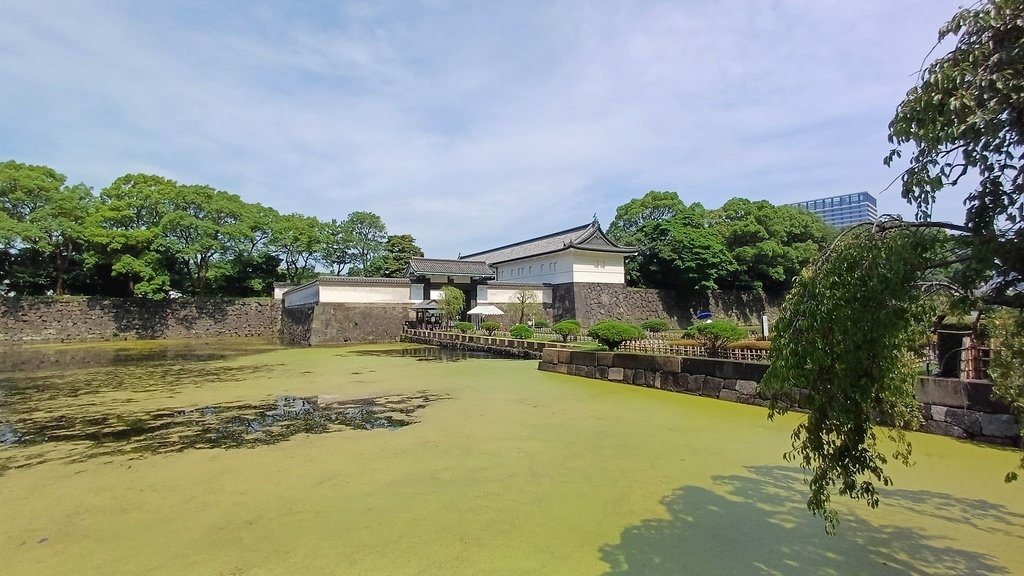 20240624~0711 北海道+富士山D14(東京與河口