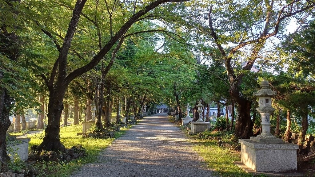 20240624~0711 北海道+富士山D14(東京與河口