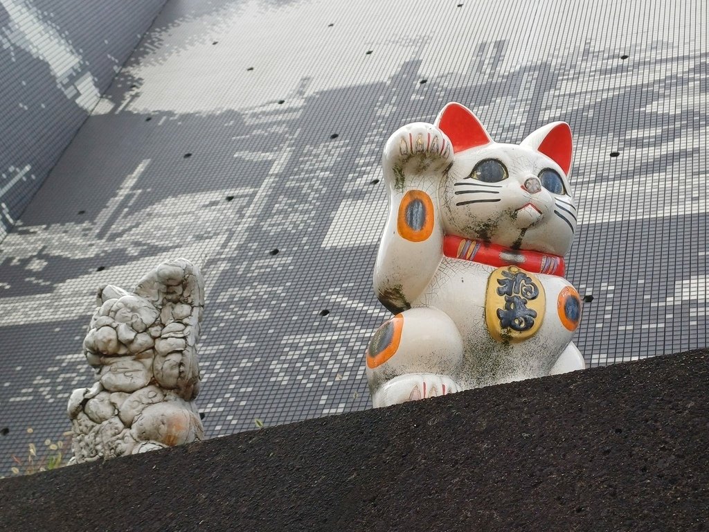 20241028~1112 名古屋立山黑部16日d1