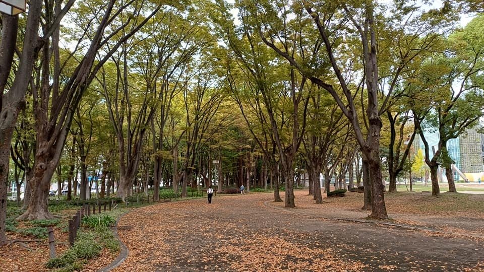20241028~1112 名古屋立山黑部16日d1