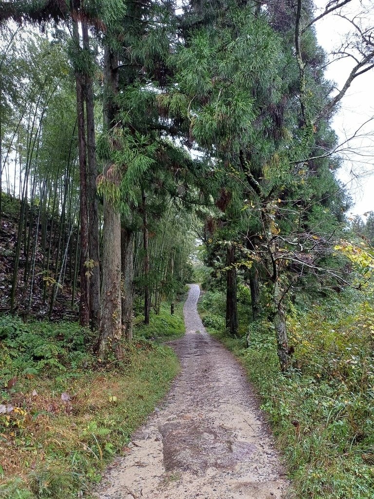 20241028~1112 名古屋立山黑部16日d6