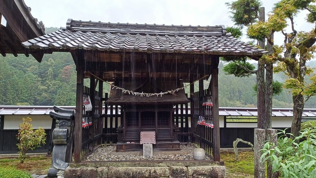 20241028~1112 名古屋立山黑部16日d6