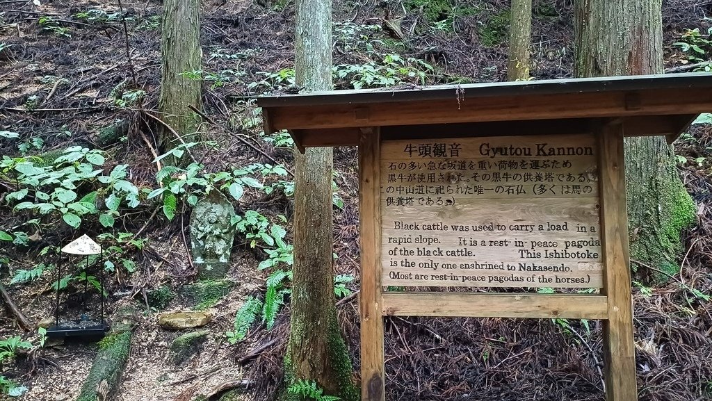 20241028~1112 名古屋立山黑部16日d6