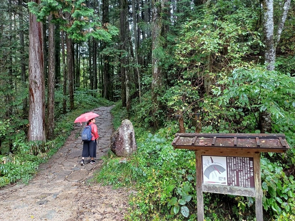 20241028~1112 名古屋立山黑部16日d6