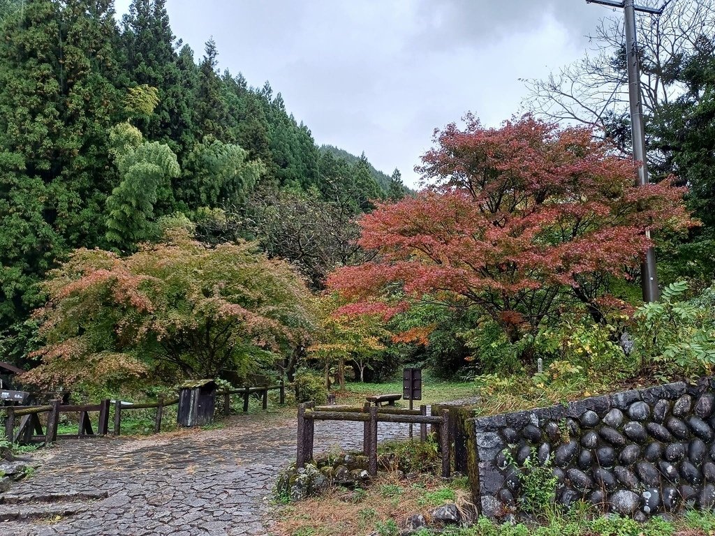 20241028~1112 名古屋立山黑部16日d6