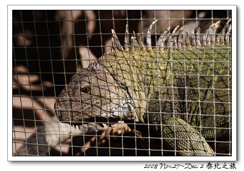 IMG_1676.jpg
