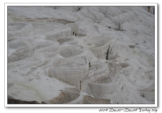 IMG_5797.jpg