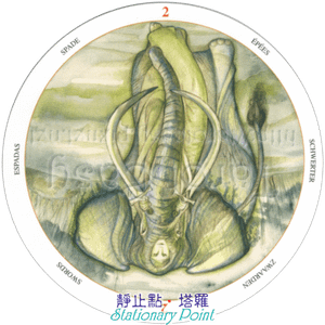 S02逆.png