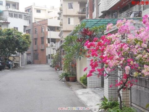 昌平路建地,昌平路土地,文昌國小建地,文昌國小土地,兒童公園建地,兒童公園土地,台中土地6