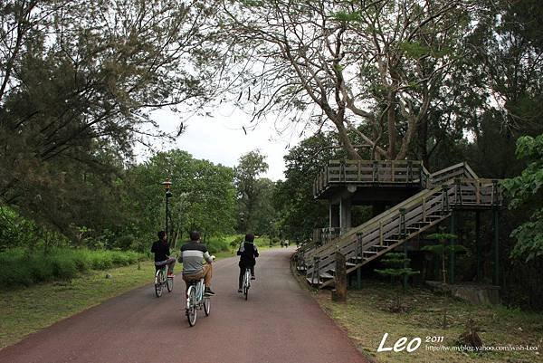 台東森林公園.樹屋