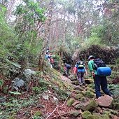 IMG_4709.JPG