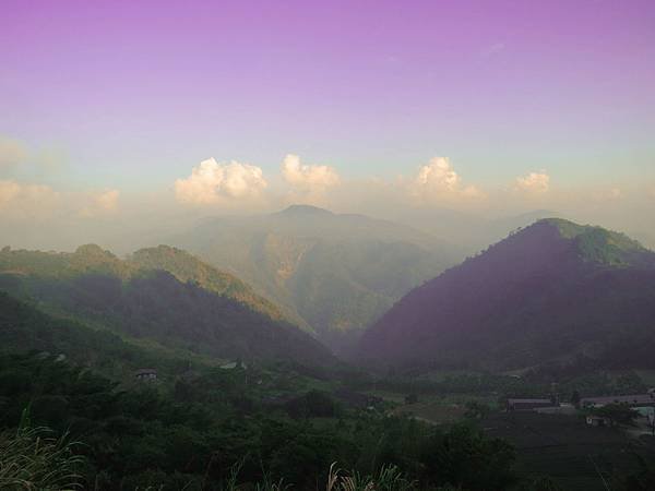 IMG_4334.jpg
