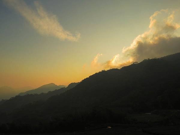 IMG_4342.jpg
