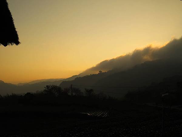 IMG_4353.jpg