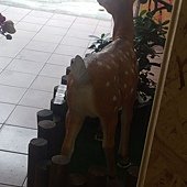 IMG_20190405_114948.jpg