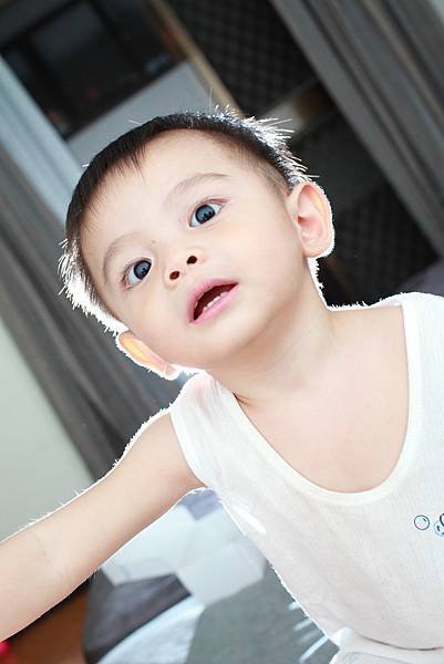DPP_0004