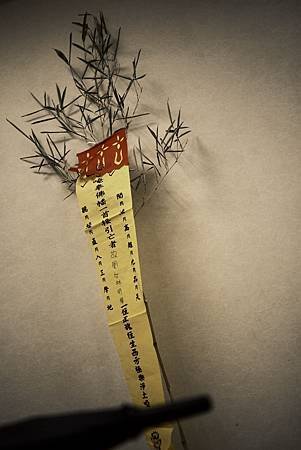 DPP_0019