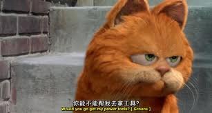 imagesCA6H7VDH