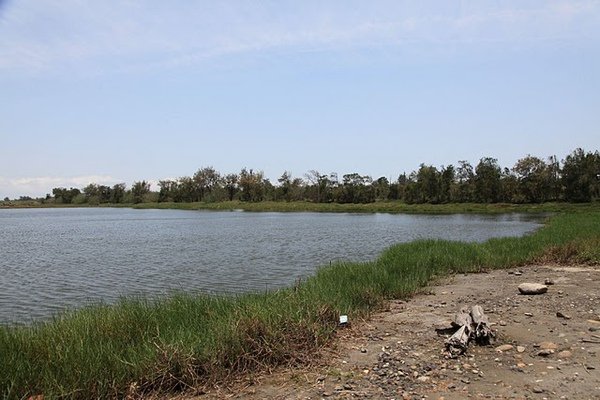 IMG_3050.JPG