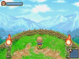 山頂1.jpg