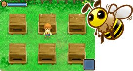 apiculture.jpg