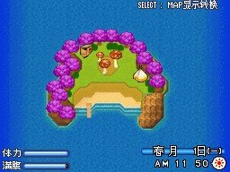 蘑菇島.jpg