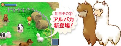 alpaca2.jpg