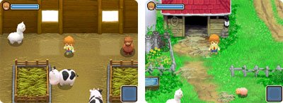 alpaca1.jpg