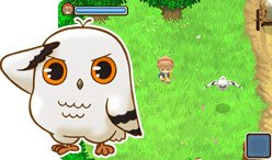 owl.jpg
