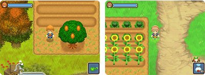 newcrops1.jpg