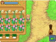 newcrops2.jpg