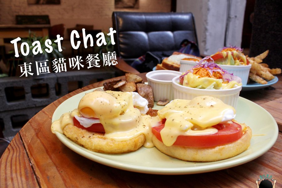 toast chat 封面.bmp