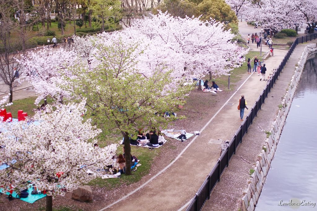 大阪城公園IMG_9623_20160404.jpg