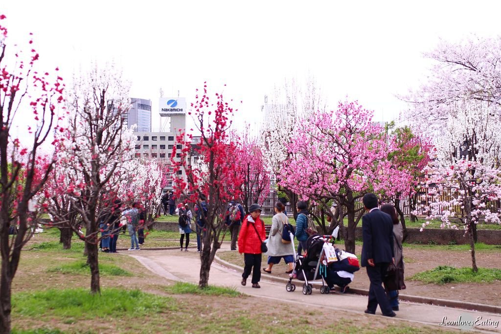 大阪城公園IMG_9638_20160404.jpg